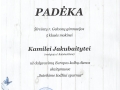 kamilė