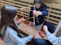 510660972_1279937057468260_3339828907143200681_n