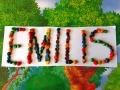 EMILIS-JONUTIS-2
