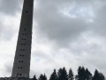 503472610_1272378784890754_3625262588783829464_n