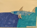 IMG_20261005_104205