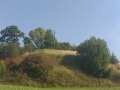 DM1
