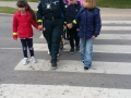 vrk4