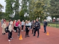 image_50459137