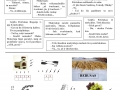 Laikraštis-2021-03-11-su-Bitutėmis5