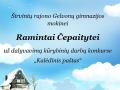 ramintai-epaitytei