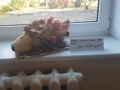 20181012_103130