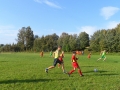 SAM_2963 (2)