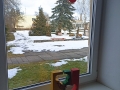 IMG_20220210_134212